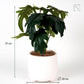 Artificial Plant Tree